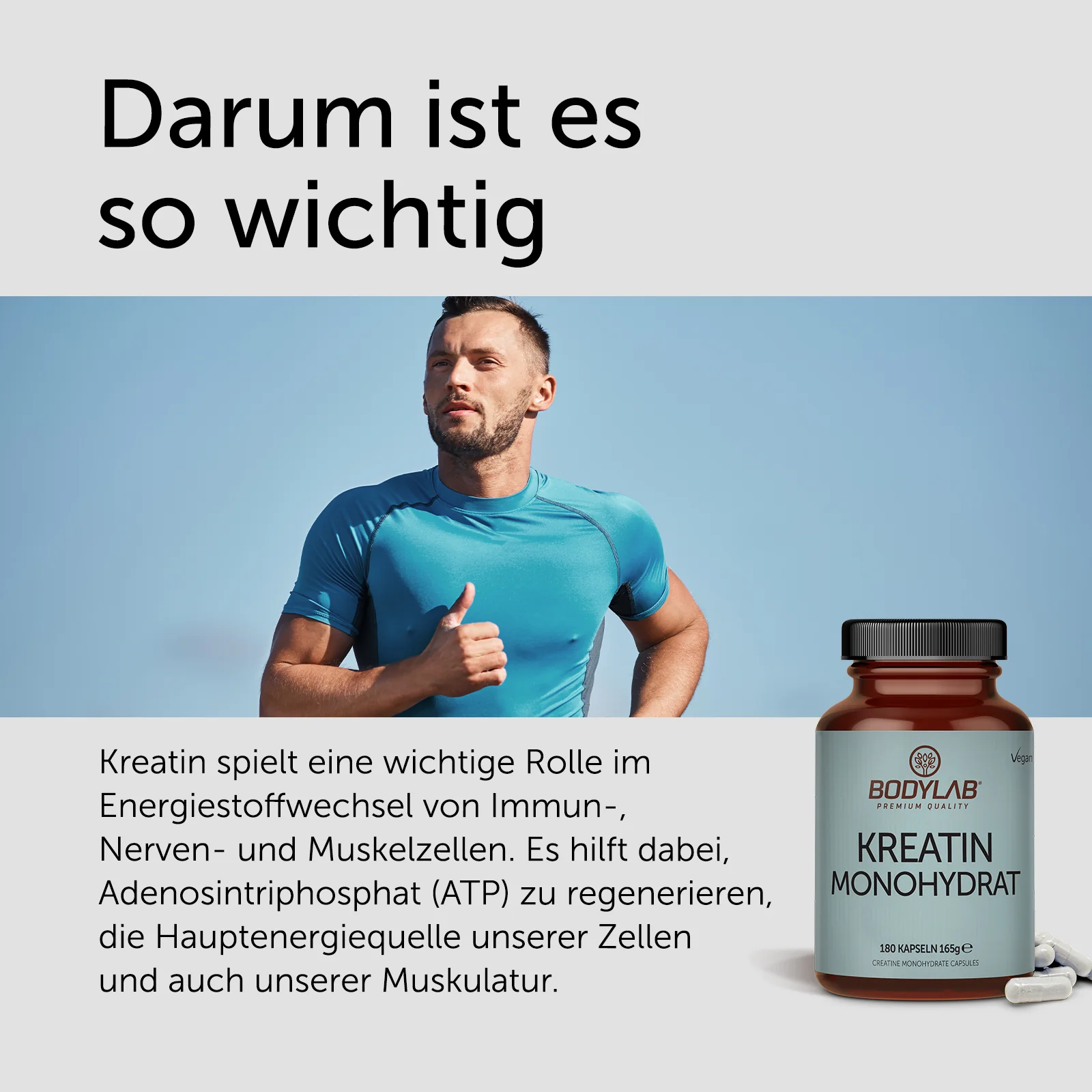 Miniatuur 4
