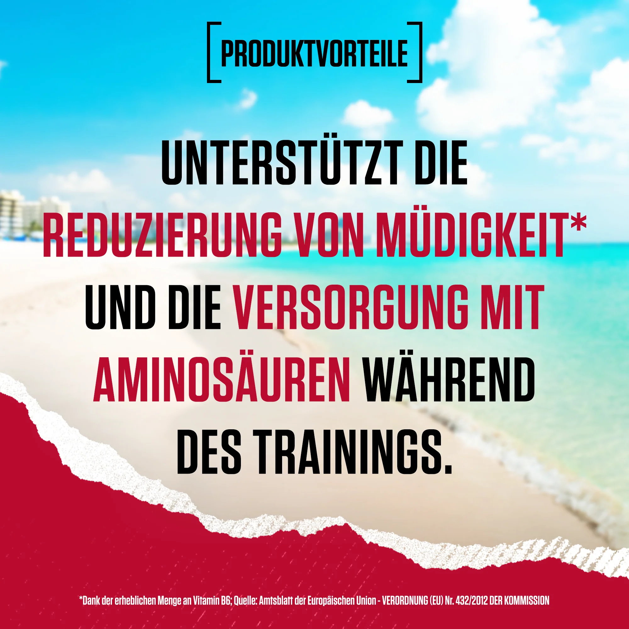 Miniatuur 19