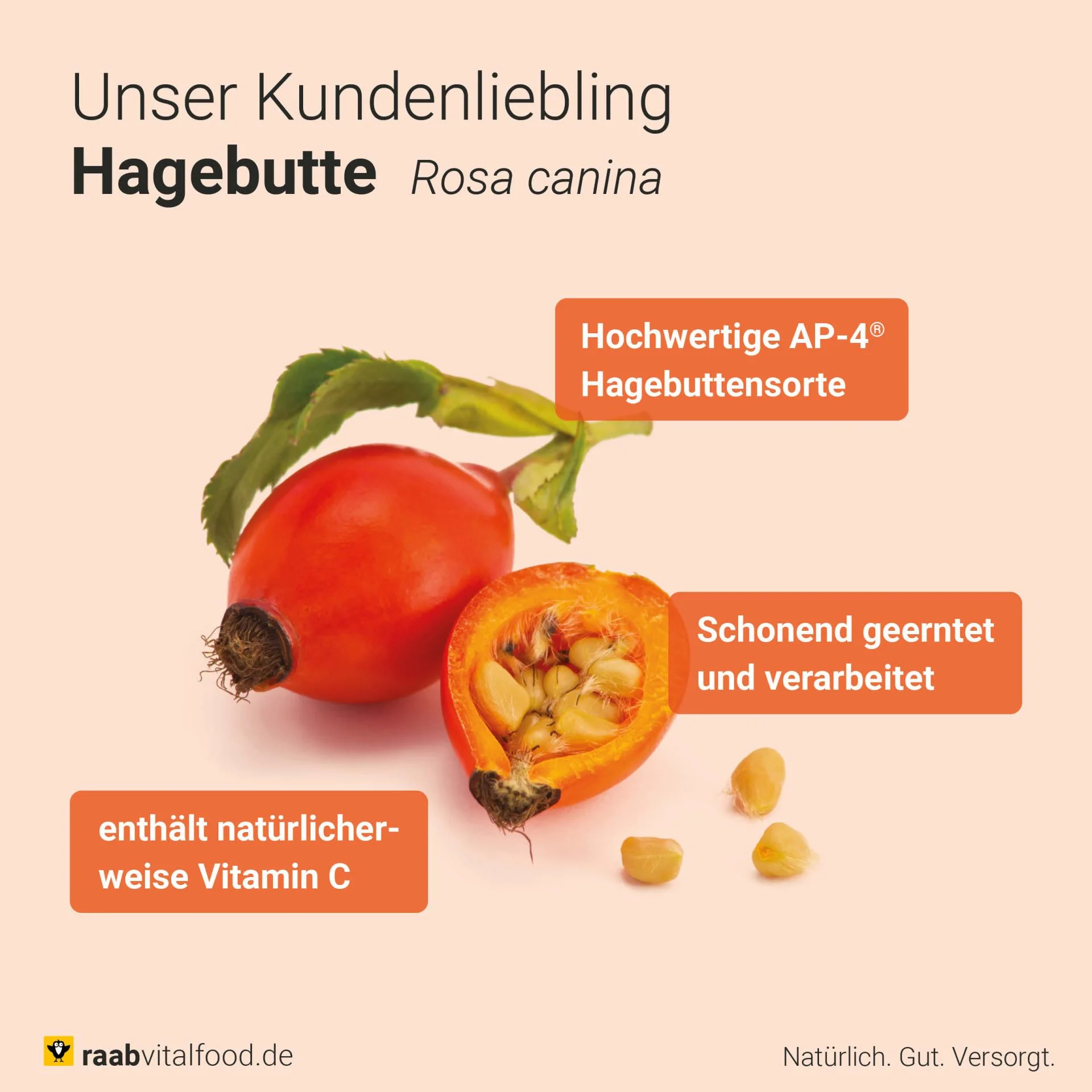 Miniatuur 6