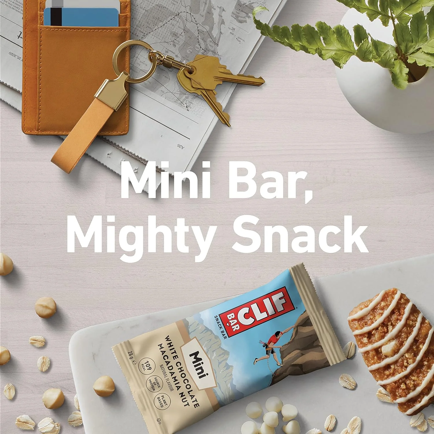 Miniatuur 6